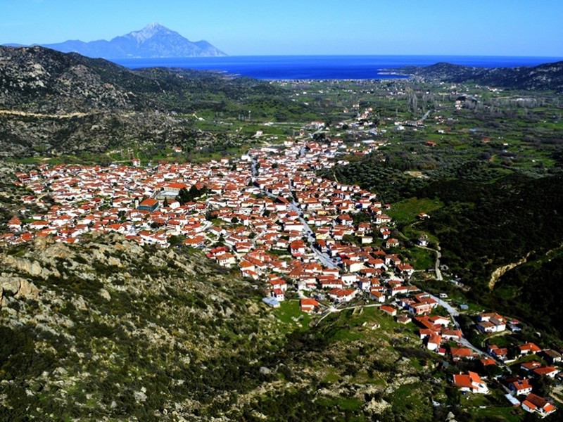 sykia market (1)_800x600