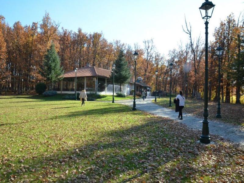 Agia Paraskevi Park Arnea