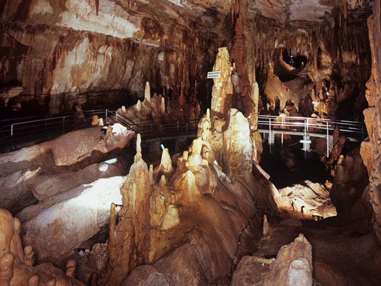 Petralona cave interior stalactites Greece
