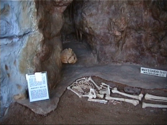 Petralona cave fossils and bones museum