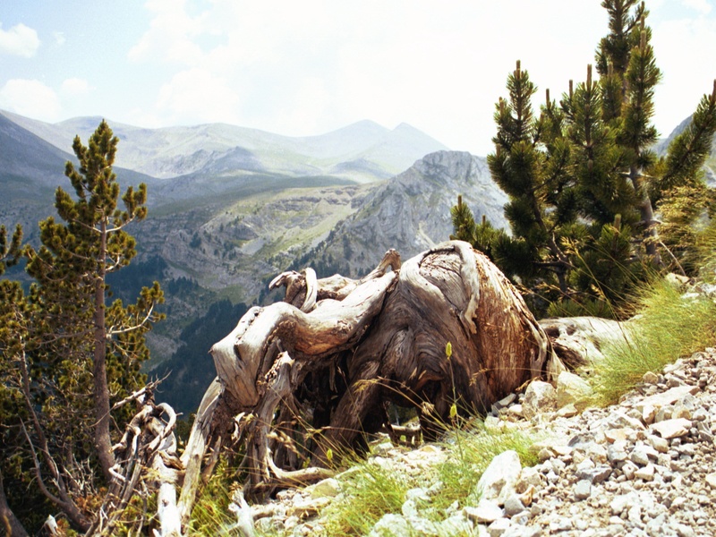 olympus_dion_litochoro_tour (3)_800x600